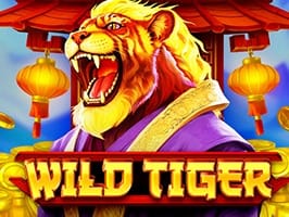 Wild Tiger thumbnail